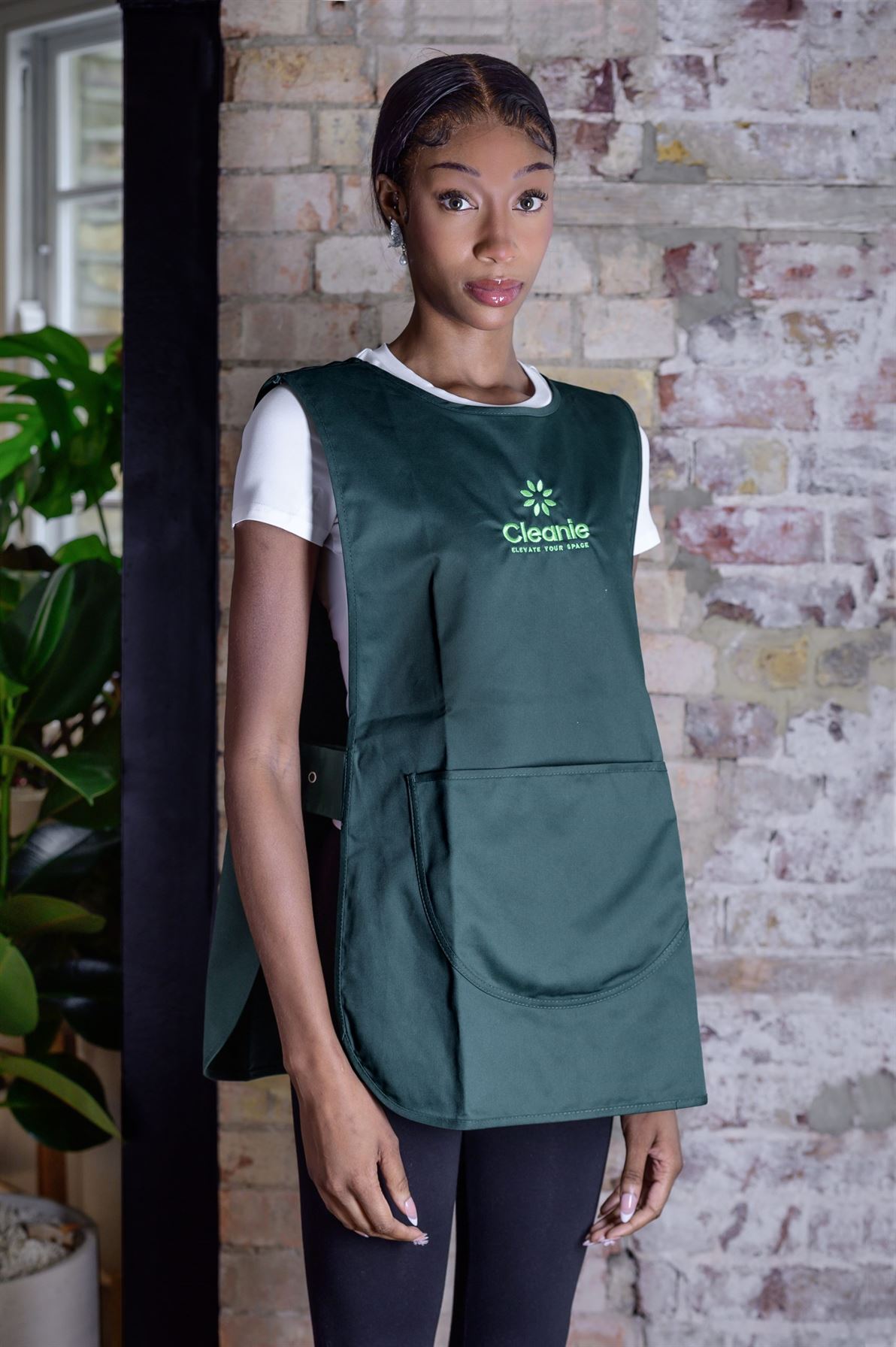 Cleanie professional cleaner at work